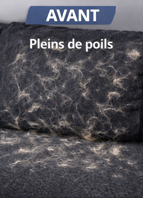 Rouleau Anti-Poils pour Chiens & Chats